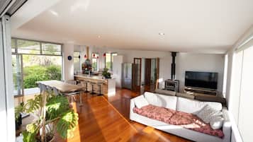 Smart TV, fireplace, DVD player, books