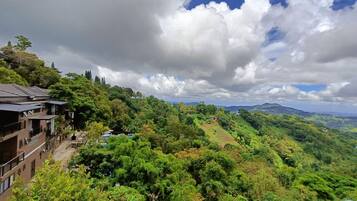 A hillside residential area with houses and lush greenery.