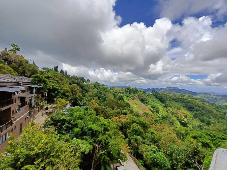 A hillside residential area with houses and lush greenery.