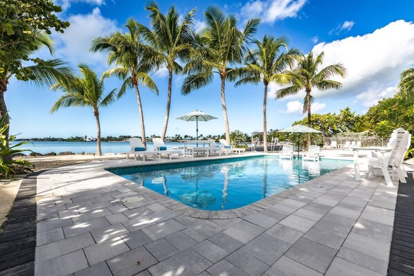 Unclassified image, 1 of 50, button