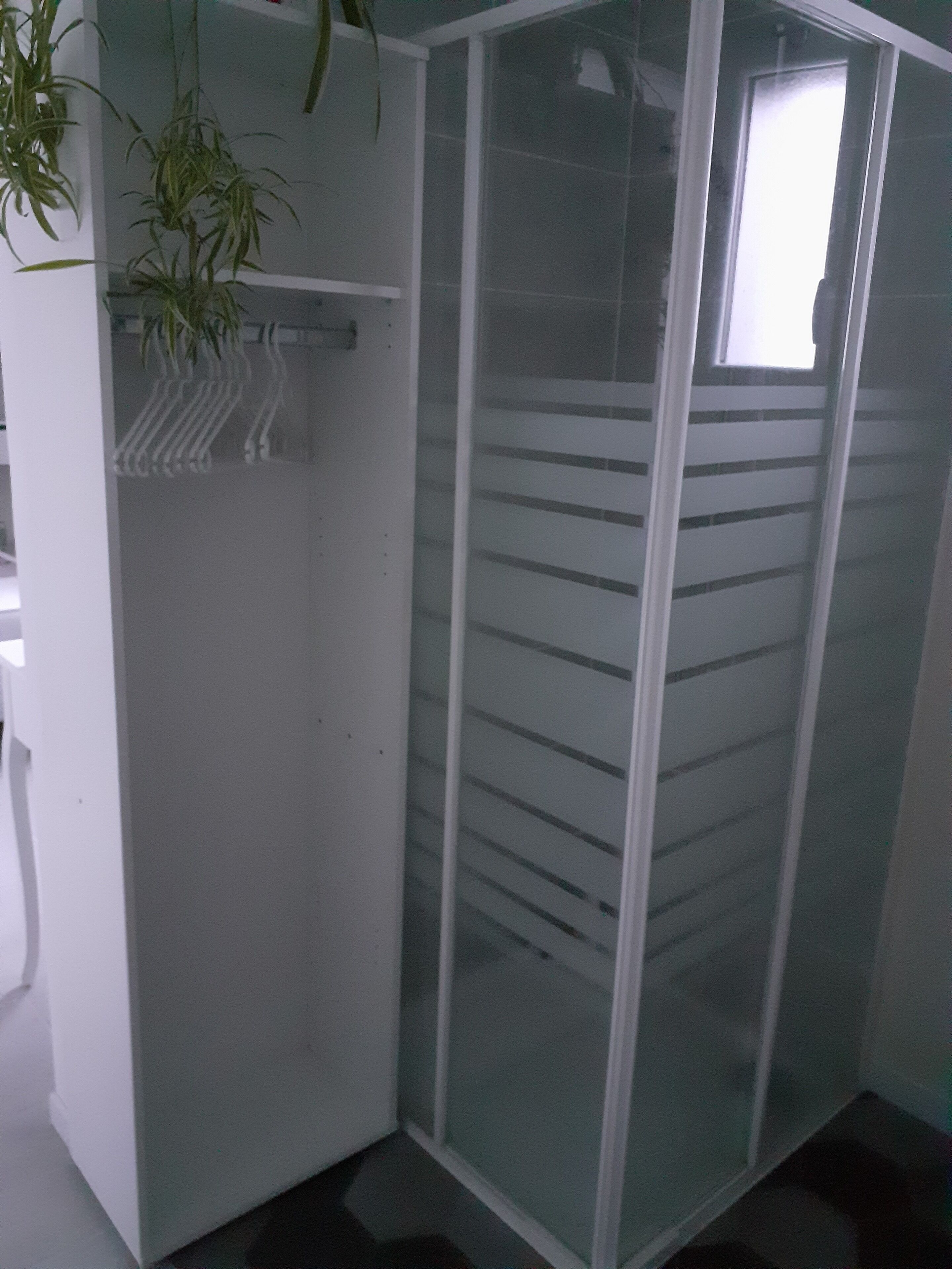 Dusche, Haartrockner, Handtücher, Toilettenpapier