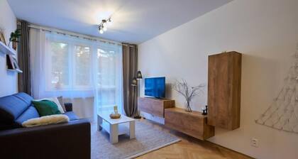Harrachov 377 by Interhome