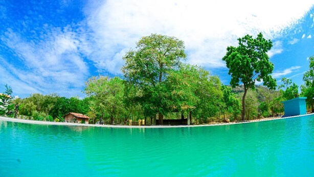 A clear swimming pool with a view of trees and a small building in the background.