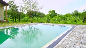 A rectangular swimming pool with a tiled deck, surrounded by lush greenery and trees.