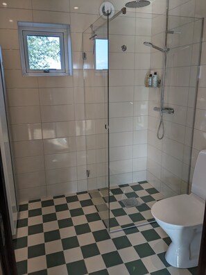 Ducha, secador de pelo, toallas, jabón