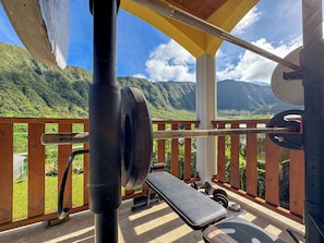 Terras