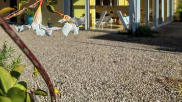 Detalle del exterior