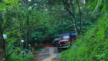 A paved pathway in a forested area with a red vehicle parked on the side.