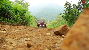 A vehicle on a dirt path surrounded by greenery.