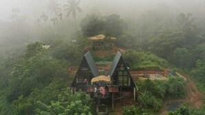 A modern, triangular-shaped building with a thatched roof, surrounded by lush greenery and palm trees. - Holistic Stay Eco Resort (Talipparamba)