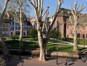 A park with trees, benches, and a pathway.