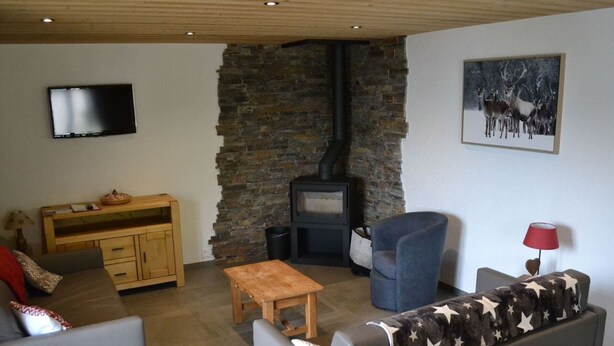 A cozy living room with a stone wall, a fireplace, a television, and a sofa. - Chalet 3 bedrooms, balcony, parking, pets allowed, 8 ppl. (Châtel)