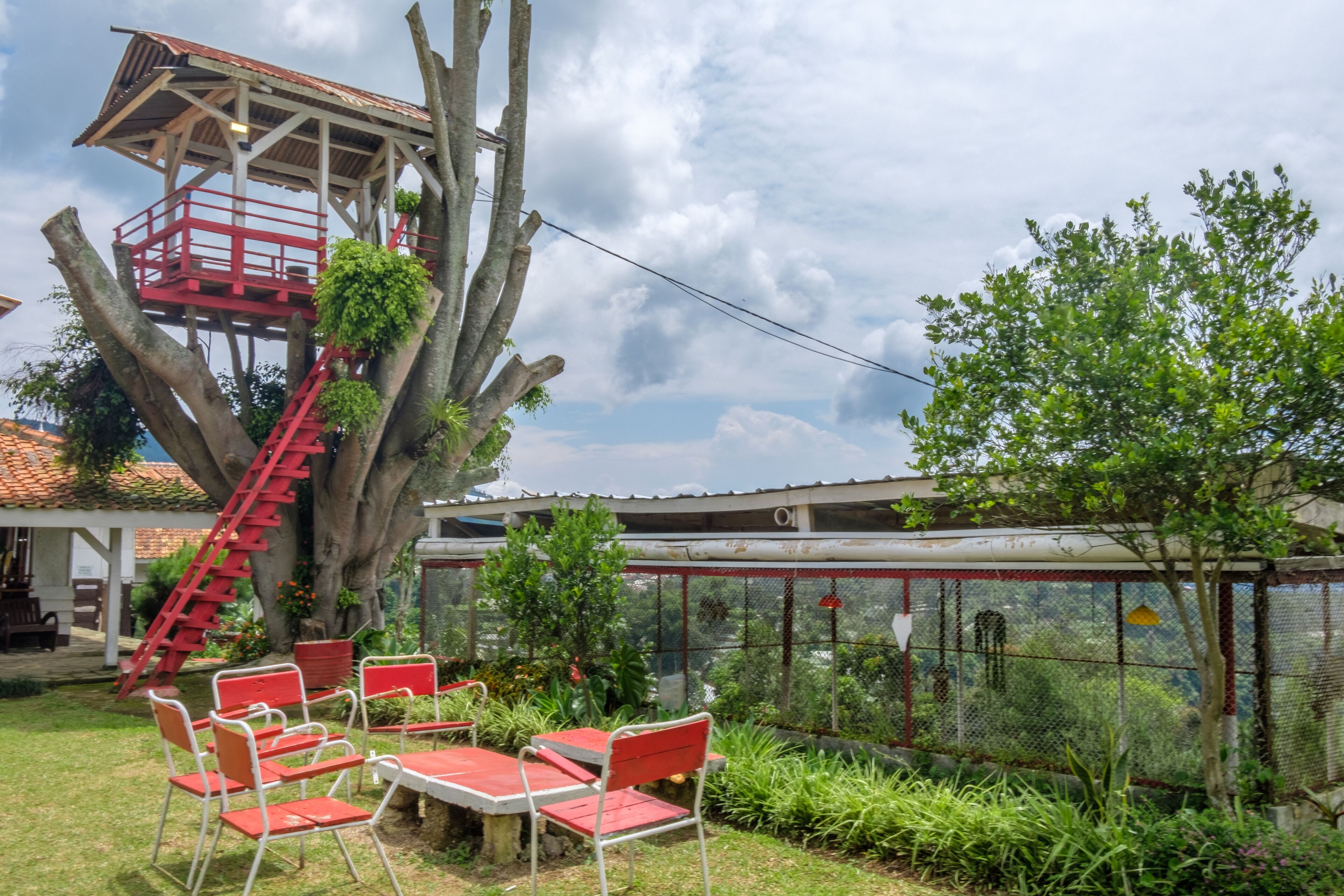 Family Villa | Garden view