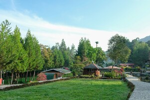 Vistas al campo desde el alojamiento
