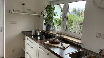 KĂŒhlschrank, Mikrowelle, Herdplatte, GeschirrspĂŒler