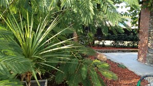 Un giardino con diverse piante, un vialetto in pietra e un muro in mattoni.