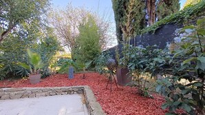 Un giardino con diverse piante e un muro in pietra.