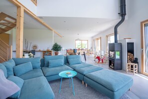 TV connectée, cheminée, jeux vidéo, lecteur de DVD