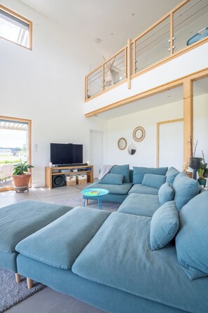 TV connectée, cheminée, jeux vidéo, lecteur de DVD