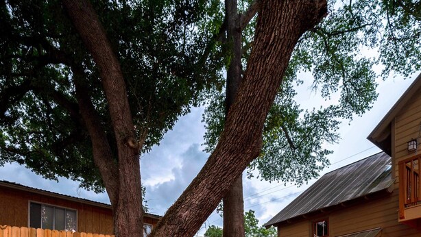 Un patio trasero con sillas y mesa de madera, rodeado por una valla de madera y árboles grandes.