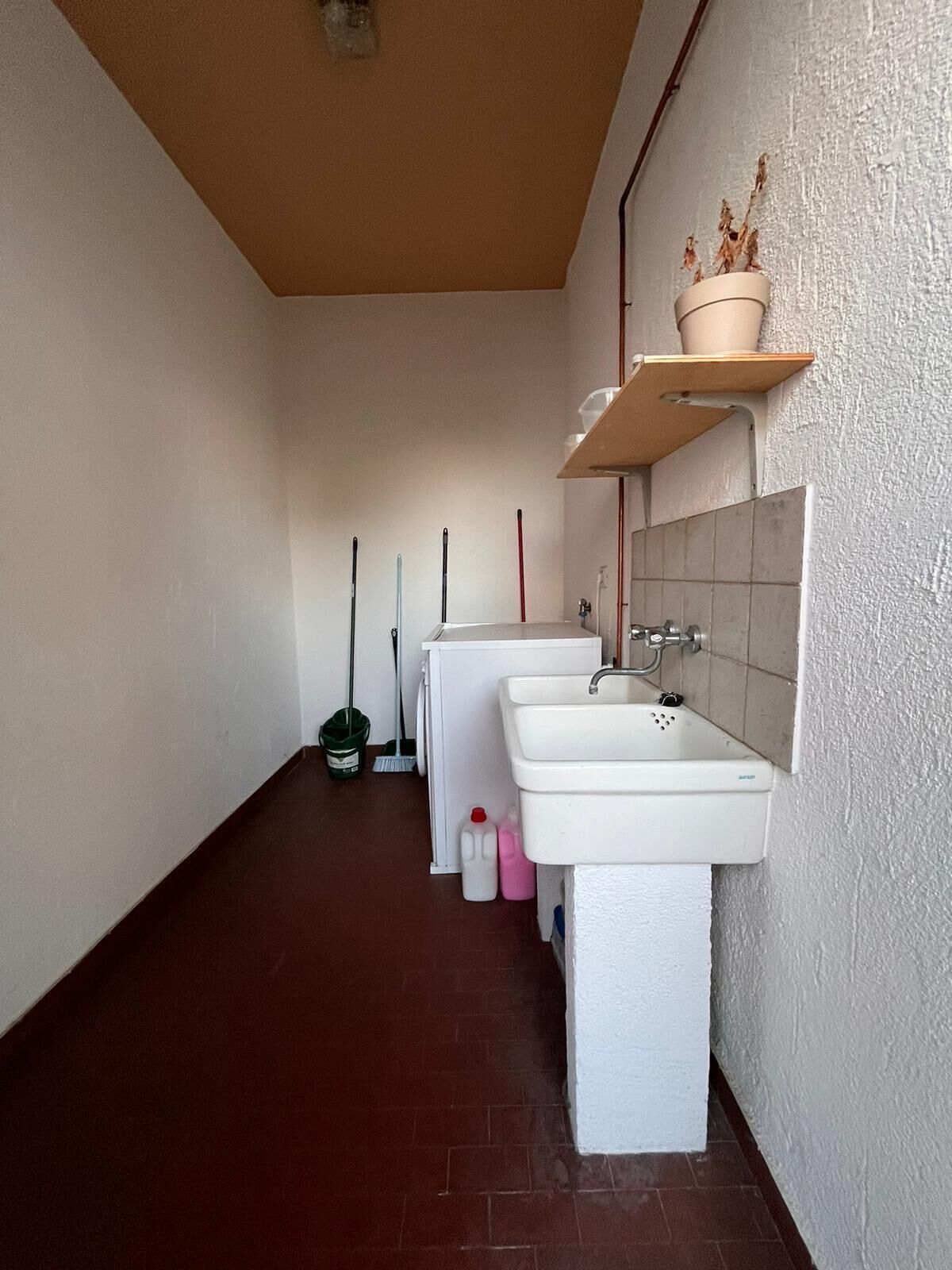 A narrow hallway with a white sink, a mirror, and a shelf with a potted plant.