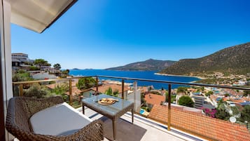 Suite Deluxe | Terraza o patio
