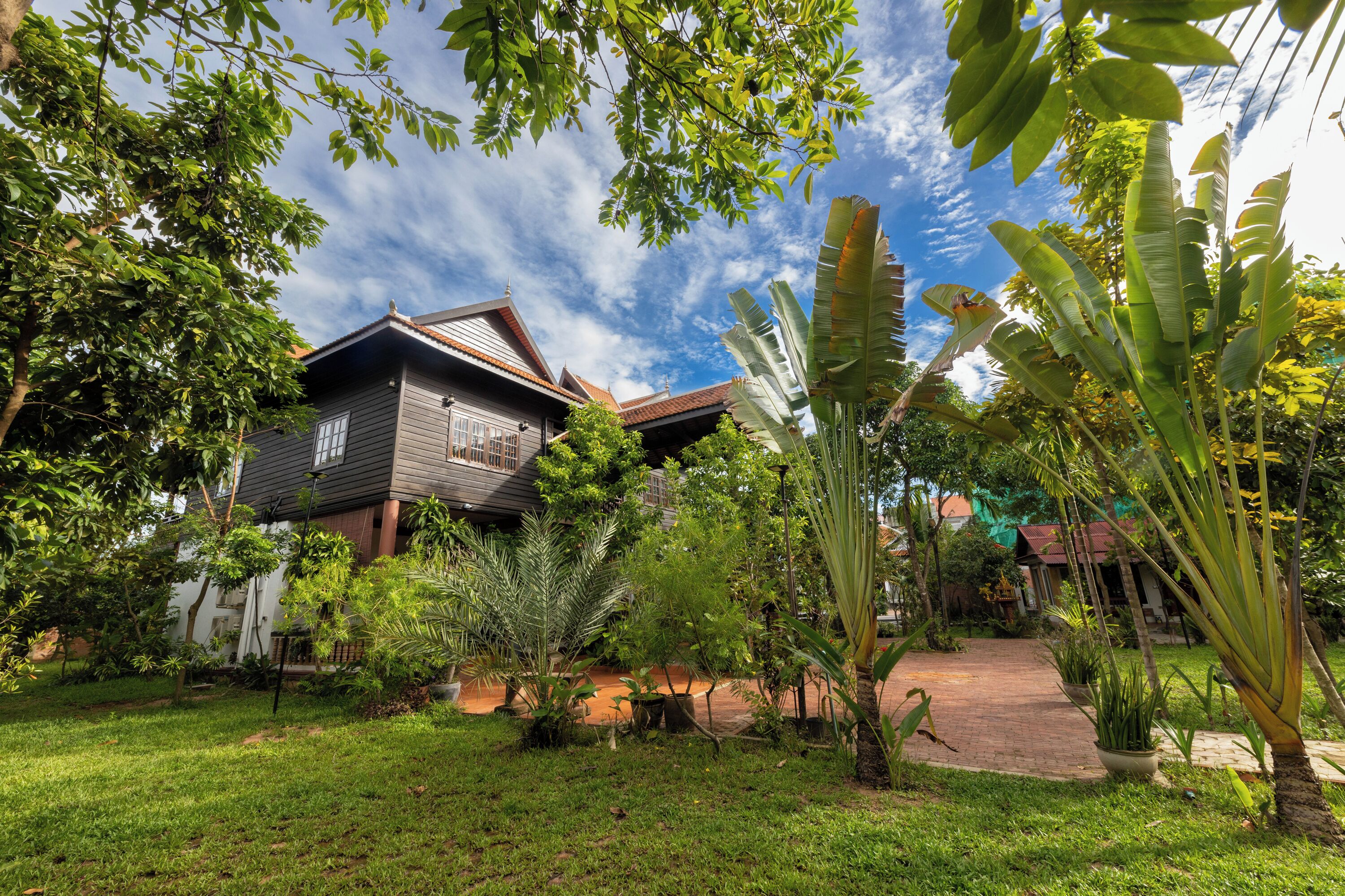 A house surrounded by lush greenery, including banana trees and various plants.