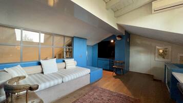 Smart TV, fireplace, books