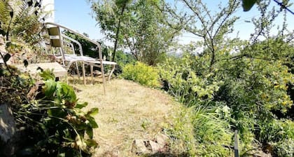 Haven in the Hills