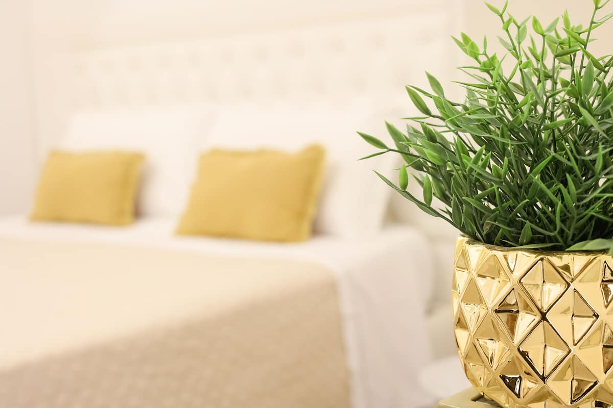 A bed with white bedding and two yellow pillows, a gold decorative pot with green foliage, and a white headboard.