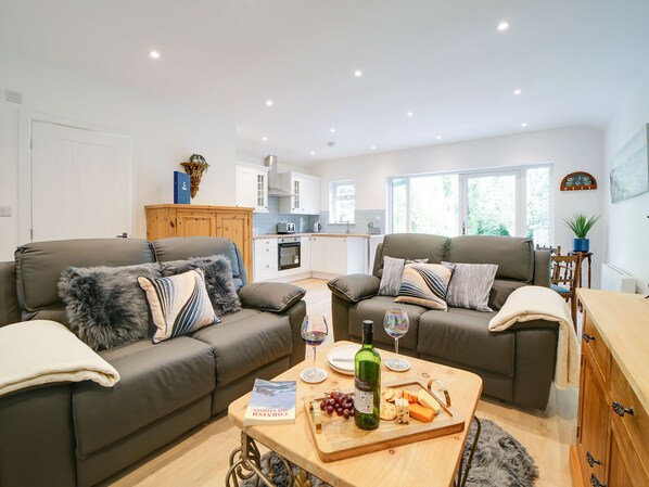 Televisión, reproductor de DVD y libros