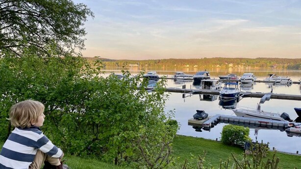 A grassy area with a dock and boats.