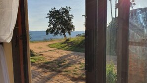 Vista a través d'una porta de vidre cap a una zona exterior pavimentada amb un arbre i un camí de terra que mena a una massa d'aigua.
