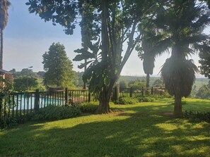 Un exuberante jardín con piscina, rodeado por una valla de madera y palmeras.