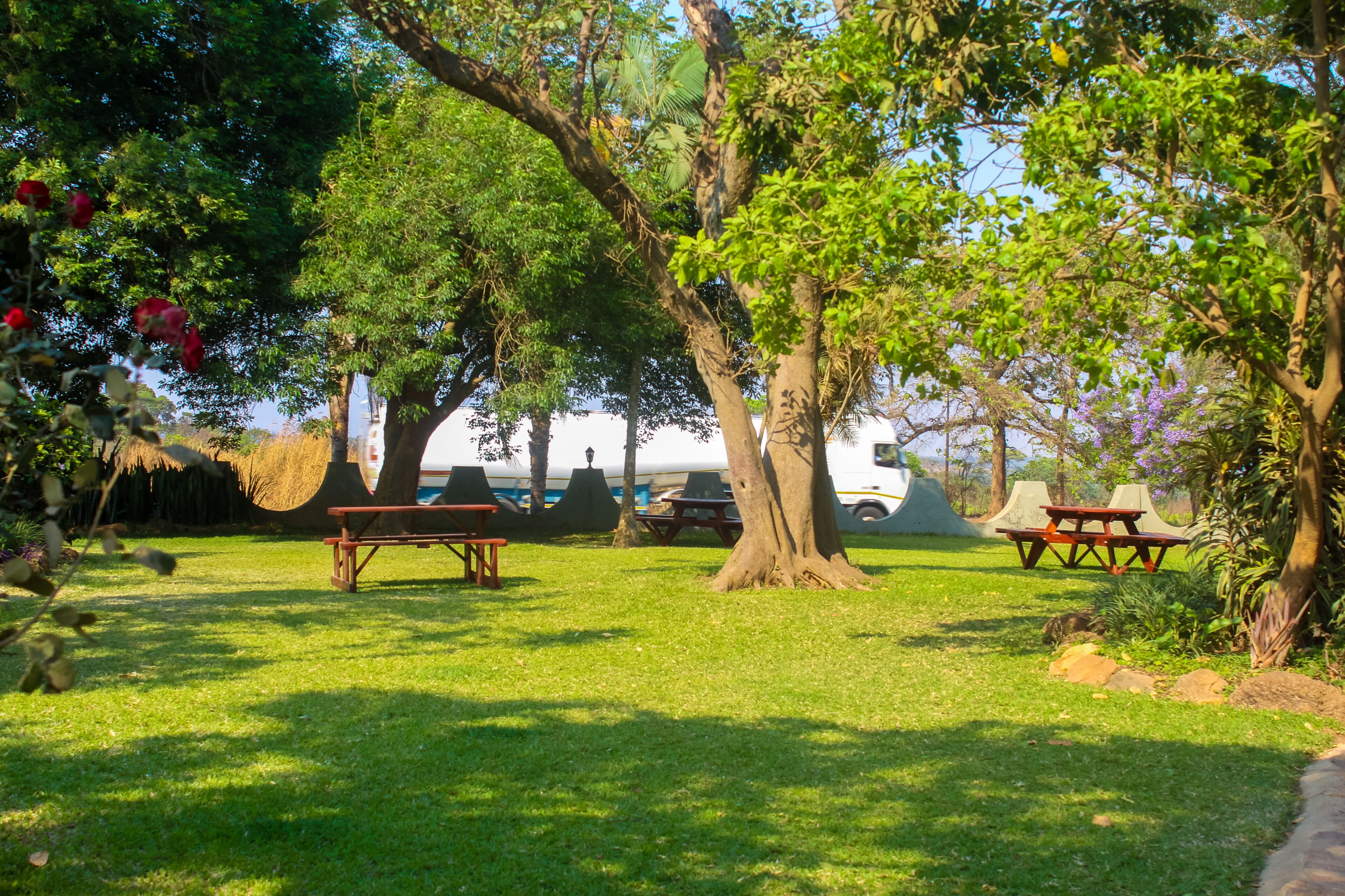 Un parque con mesas de picnic y un árbol grande.