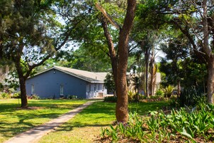 Una casa con un camino que la conduce, rodeada de árboles y follaje.