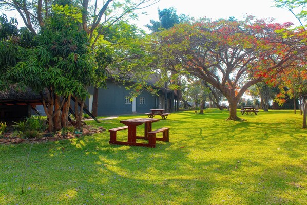 A grassy area with picnic tables and a building in the background.
