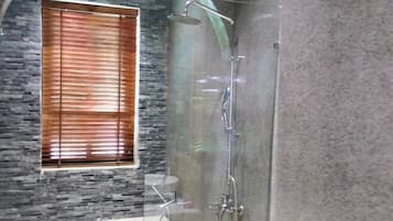 Shower, hair dryer, bidet, towels
