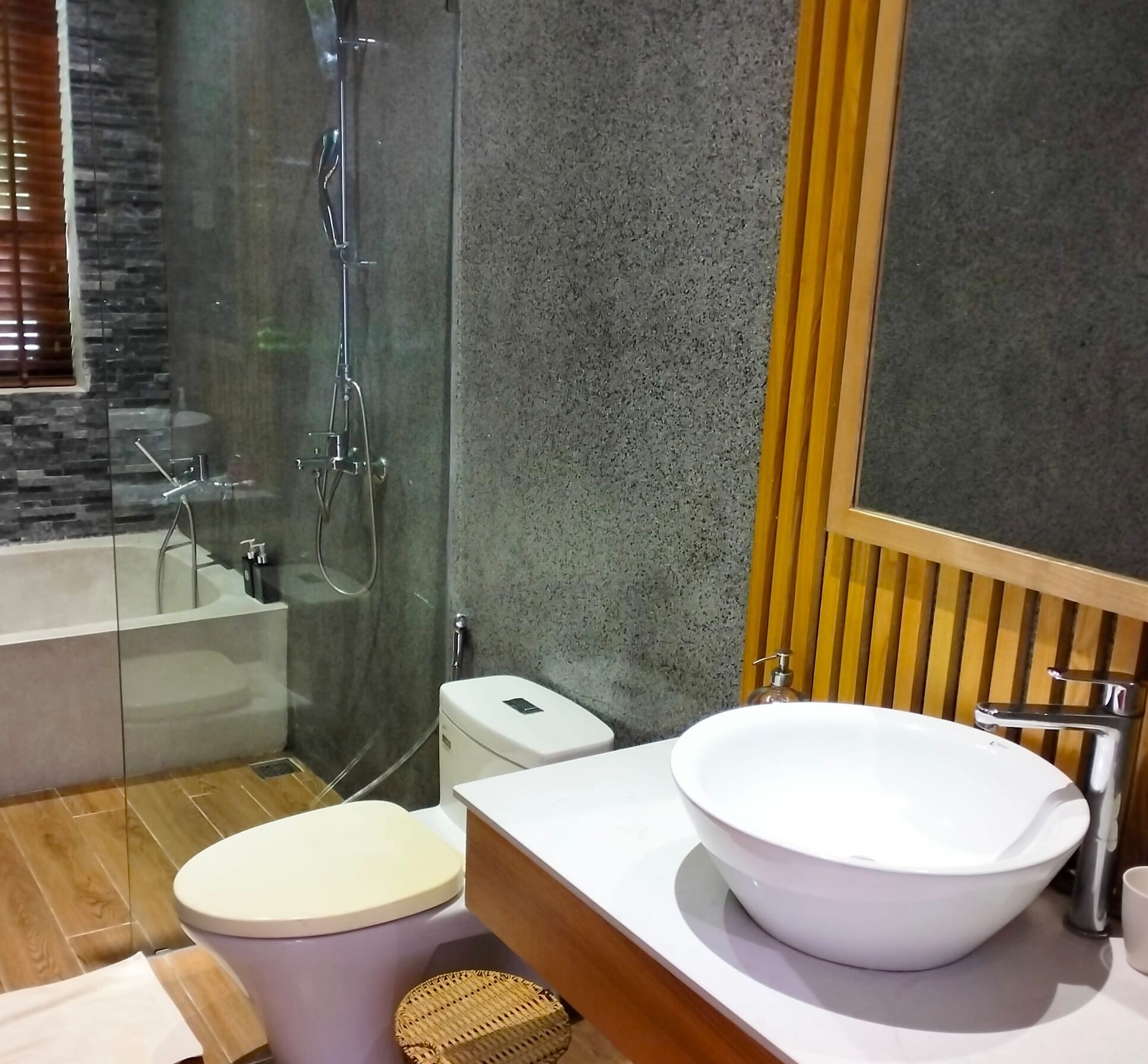 Shower, hair dryer, bidet, towels