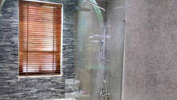 Regadera, secadora de cabello, bidet, toallas