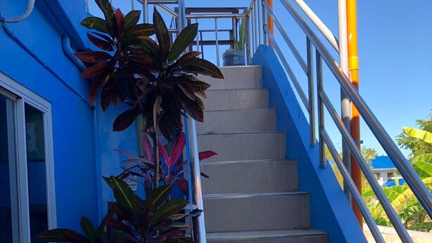 A staircase with metal railings and potted plants on the left. - RAVARA-NATIVIDAD PENSION HOUSE (Alaminos)