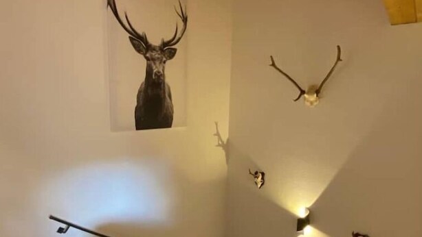 Una escalera con techo de madera y un ciervo disecado montado en la pared.