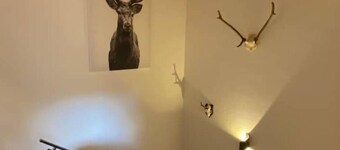 Neurenovierte Ferienwohnung "lisl"