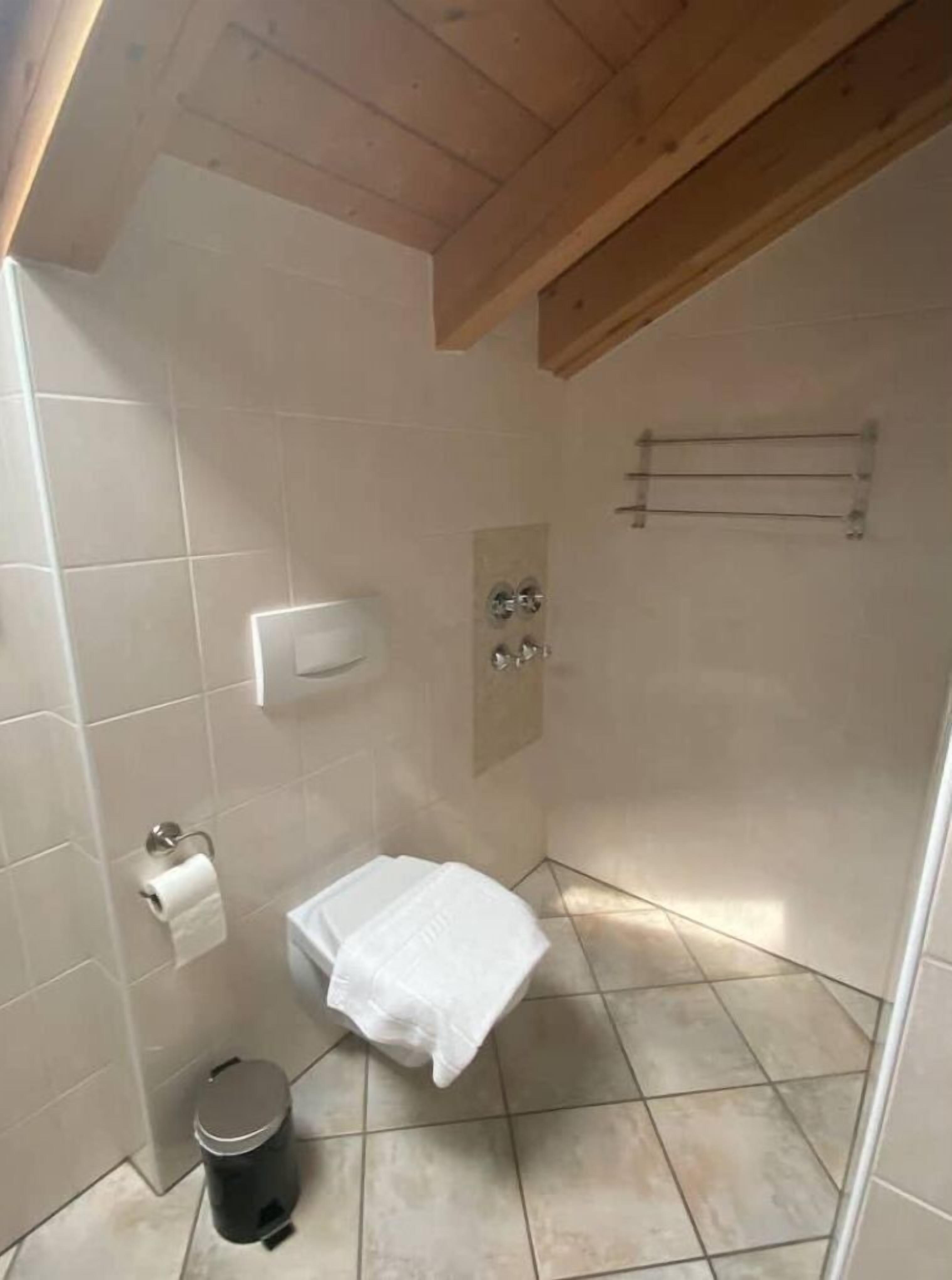 Dusche, kostenlose Toilettenartikel, Haartrockner, Handtücher