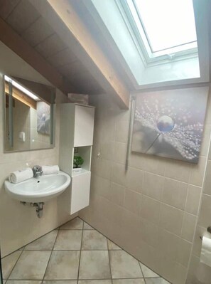 Regadera, amenidades de baño gratuitas, secadora de cabello, toallas
