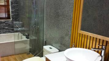 Shower, hair dryer, bidet, towels