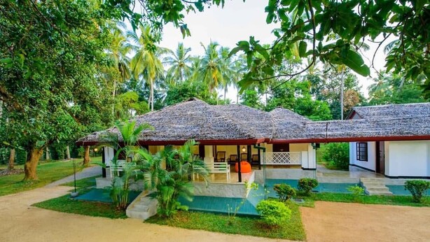 Ein Bungalow mit Strohdach, umgeben von üppiger Vegetation und Palmen.