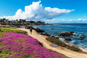 海灘
