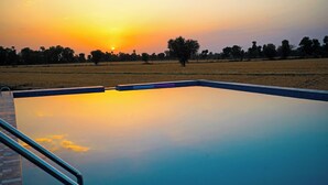 A rectangular swimming pool with a tiled edge, surrounded by a brick wall and metal railings. - Jawai Sanderao Farms (Sumerpur)