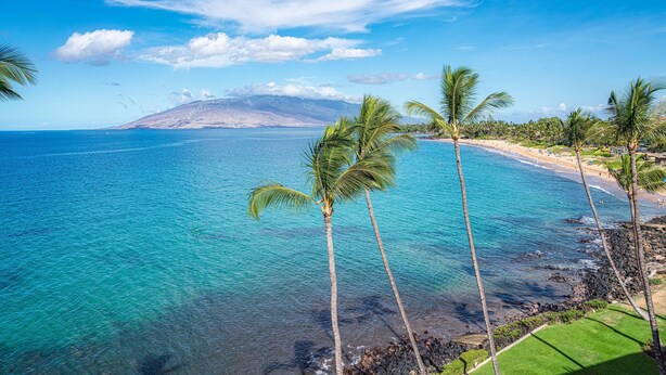 A beach with clear turquoise water, palm trees, and a distant mountain. - ENDLESS OCEAN VIEWS- PREMIUM LOCATION & FINISHES-TOP FLOOR-WELL EQUIPPED (Kihei)